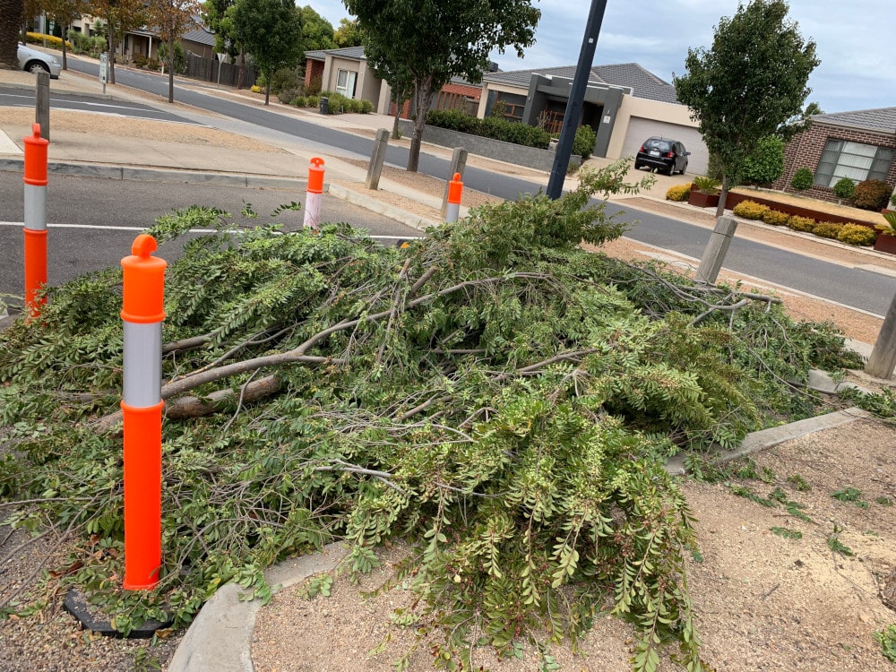 green waste rubbish removal northern suburbs melbourne