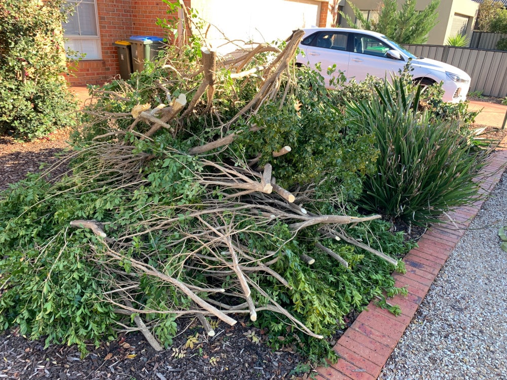 green waste removal point cook