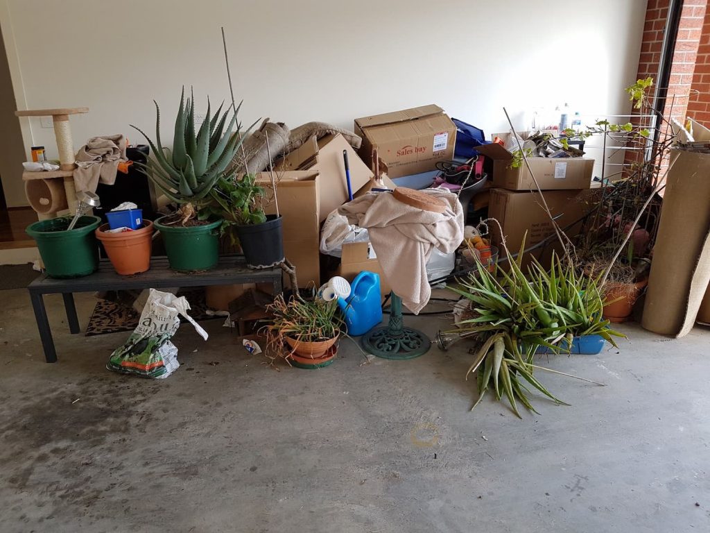 Light Waste - BEFORE