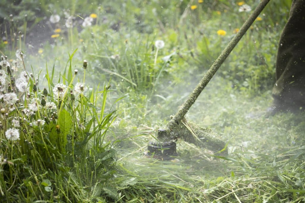 Lawn mover on green grass