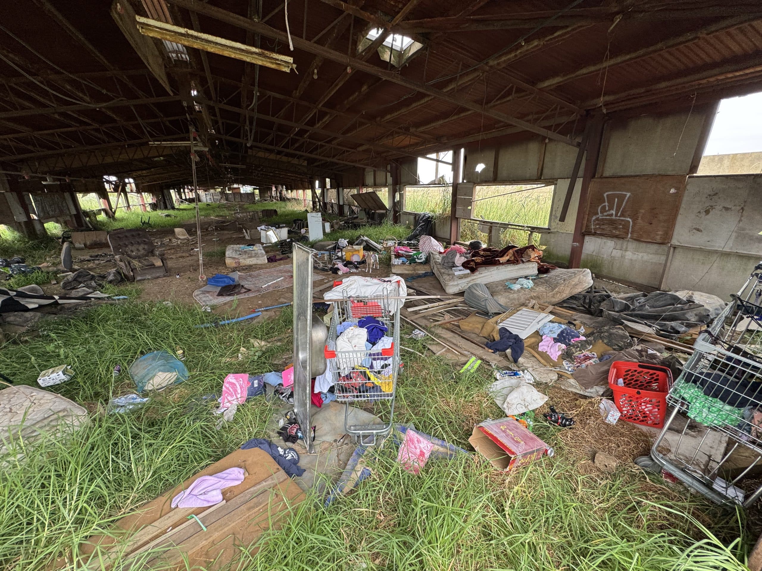 Derrimut Road Block Clearance_Shed Interior