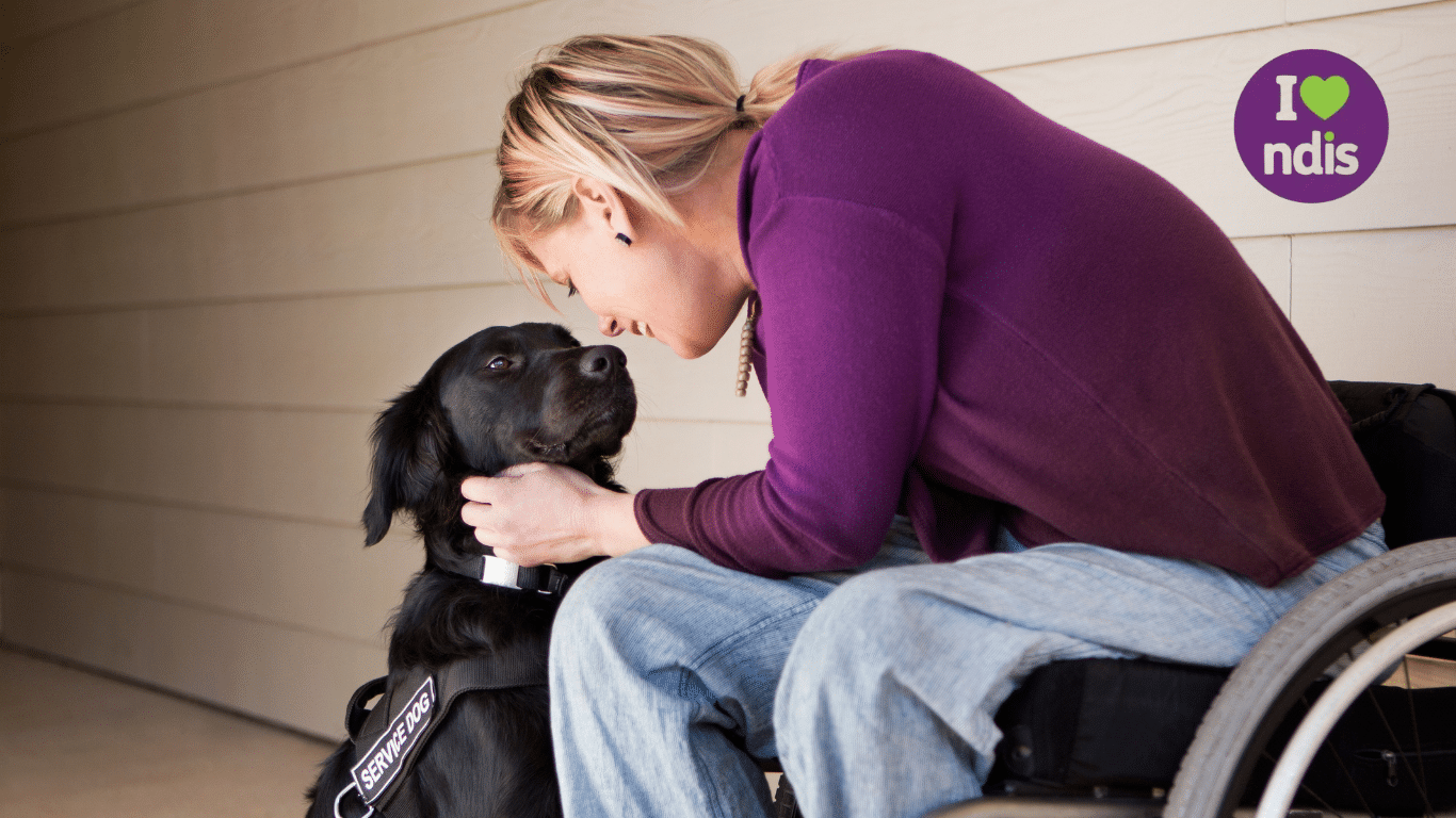 Woman in Wheelchair with service dog