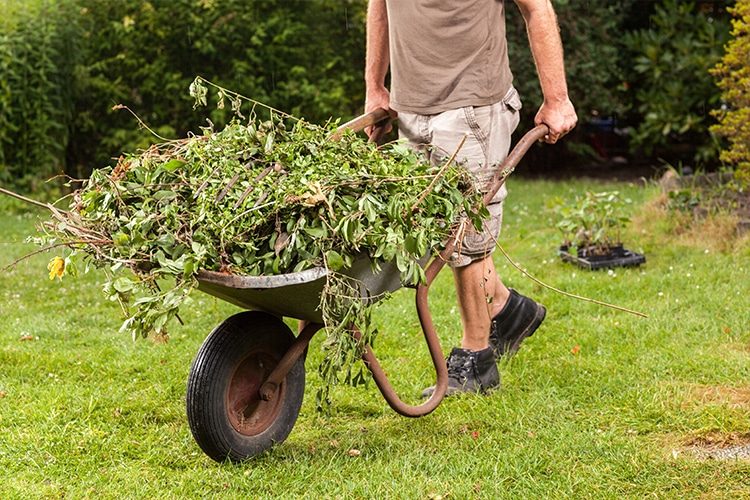 Green Waste Removal