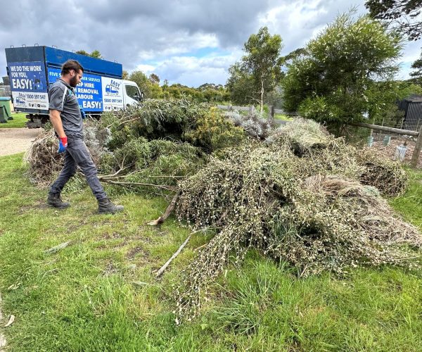 Green Waste Removal