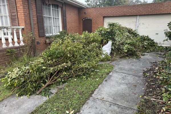 RUBBISH REMOVALISTS MELBOURNE GREEN WASTE