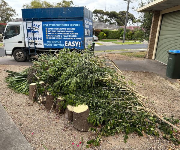 Green Waste - BEFORE