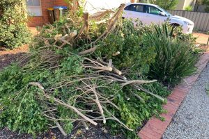 green waste removal point cook