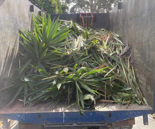 green waste on truck